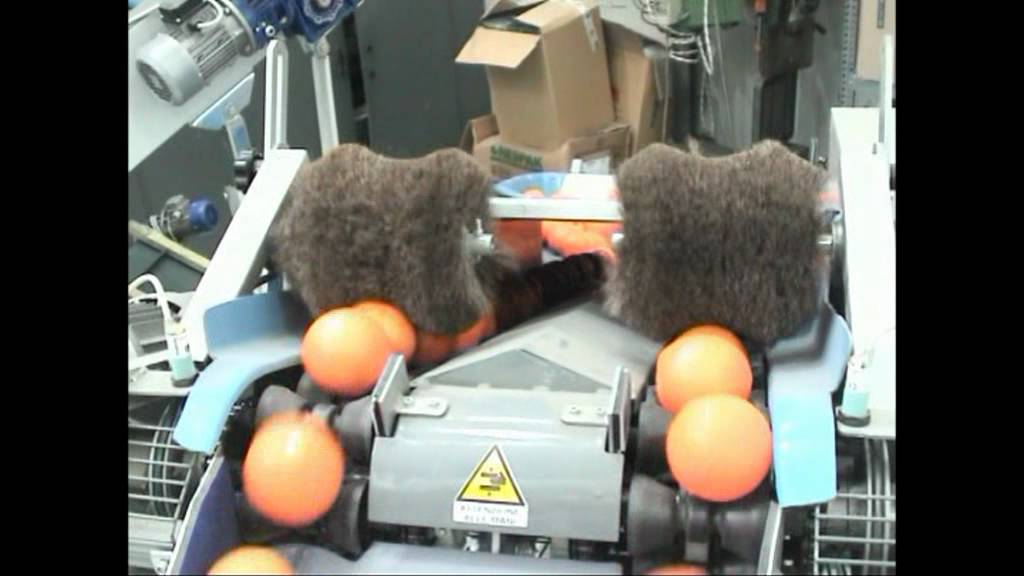 Sorma fruit telmachine