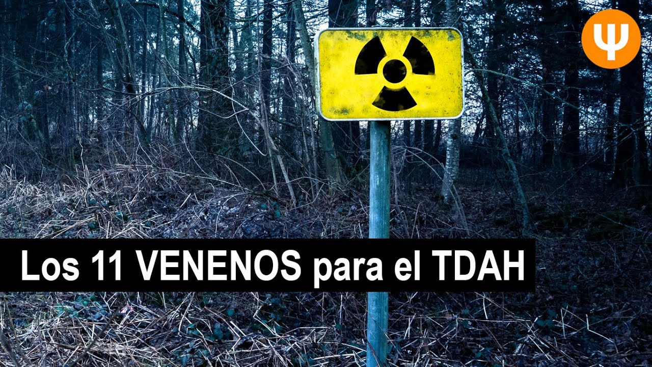 Los 11 venenos para el TDAH