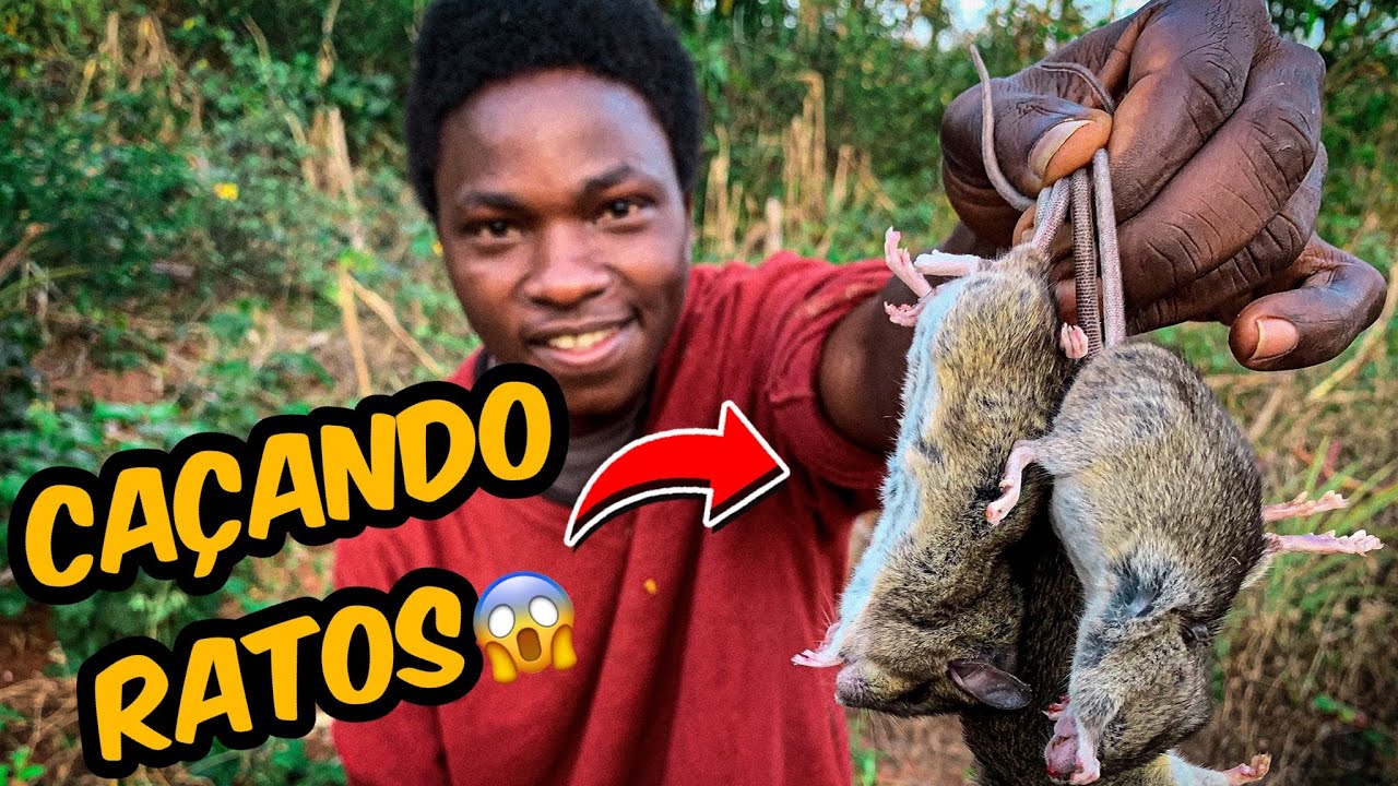 COMO É A CAÇA E CONSUMO DE RATOS EM MOÇAMBIQUE-ÁFRICA😱😱