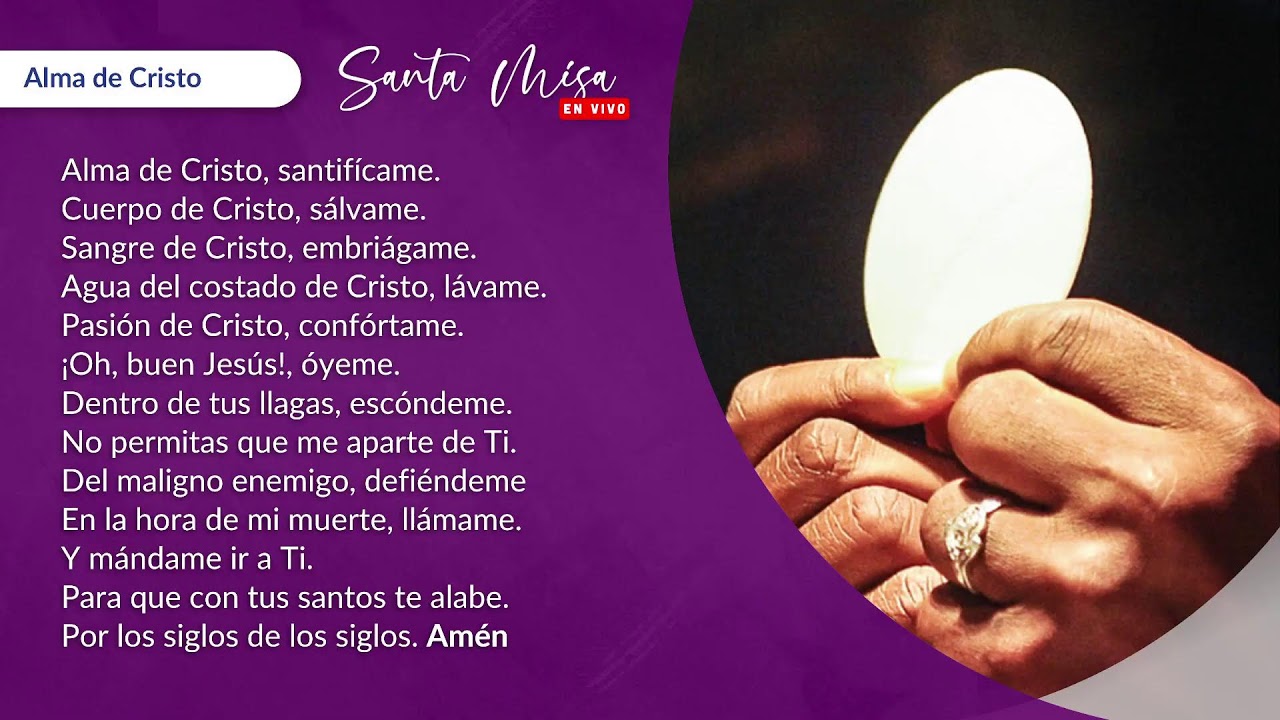 Santa Misa en vivo: -16--03-2026