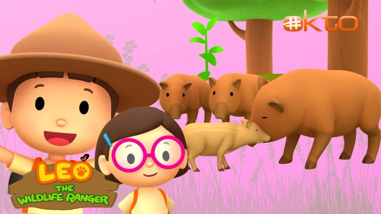 Meet A Family of WILD BOARS! 🐷 | Leo the Wildlife Ranger | @mediacorpokto   ​