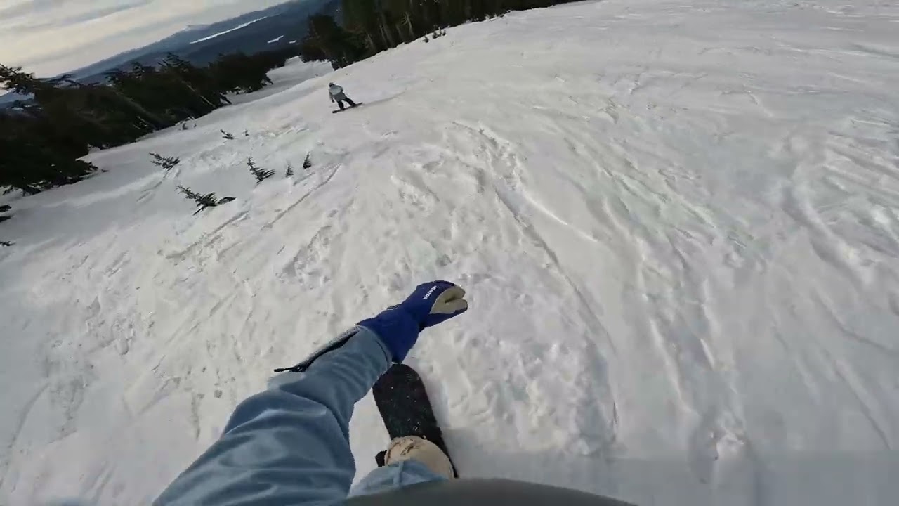 1/31/26