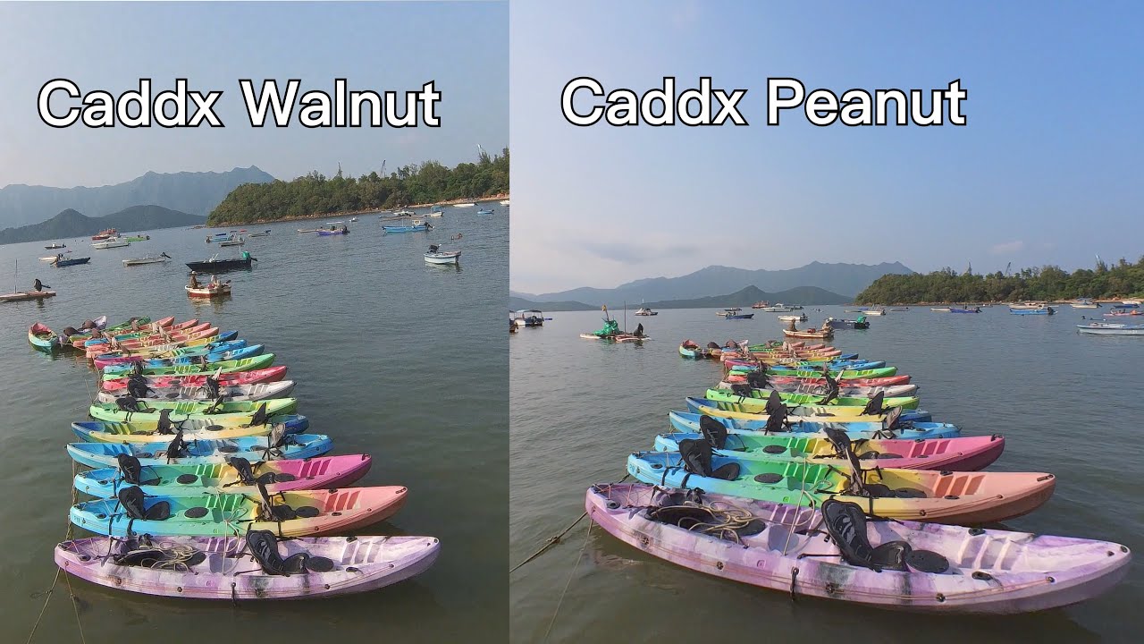 Caddx Walnut vs Caddx Peanut