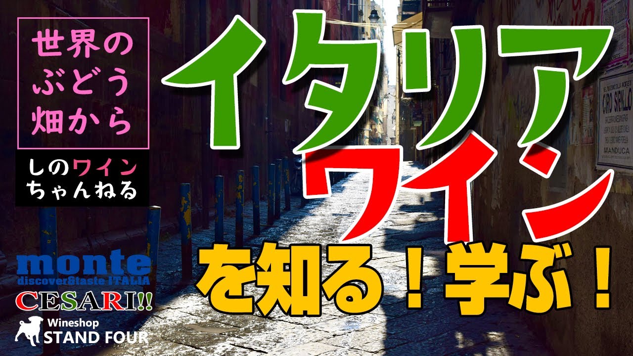【イタリアワイン】イタリアワインを知る！学ぶ！（モンテ物産）しのワインちゃんねる世界のぶどう畑からシリーズ（2021.4）
