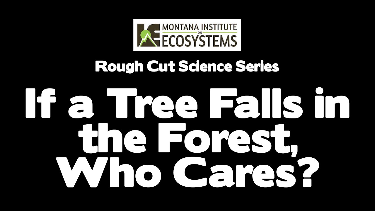If a Tree Falls in the Forest, Who Cares? The Case of the Whitebark Pine