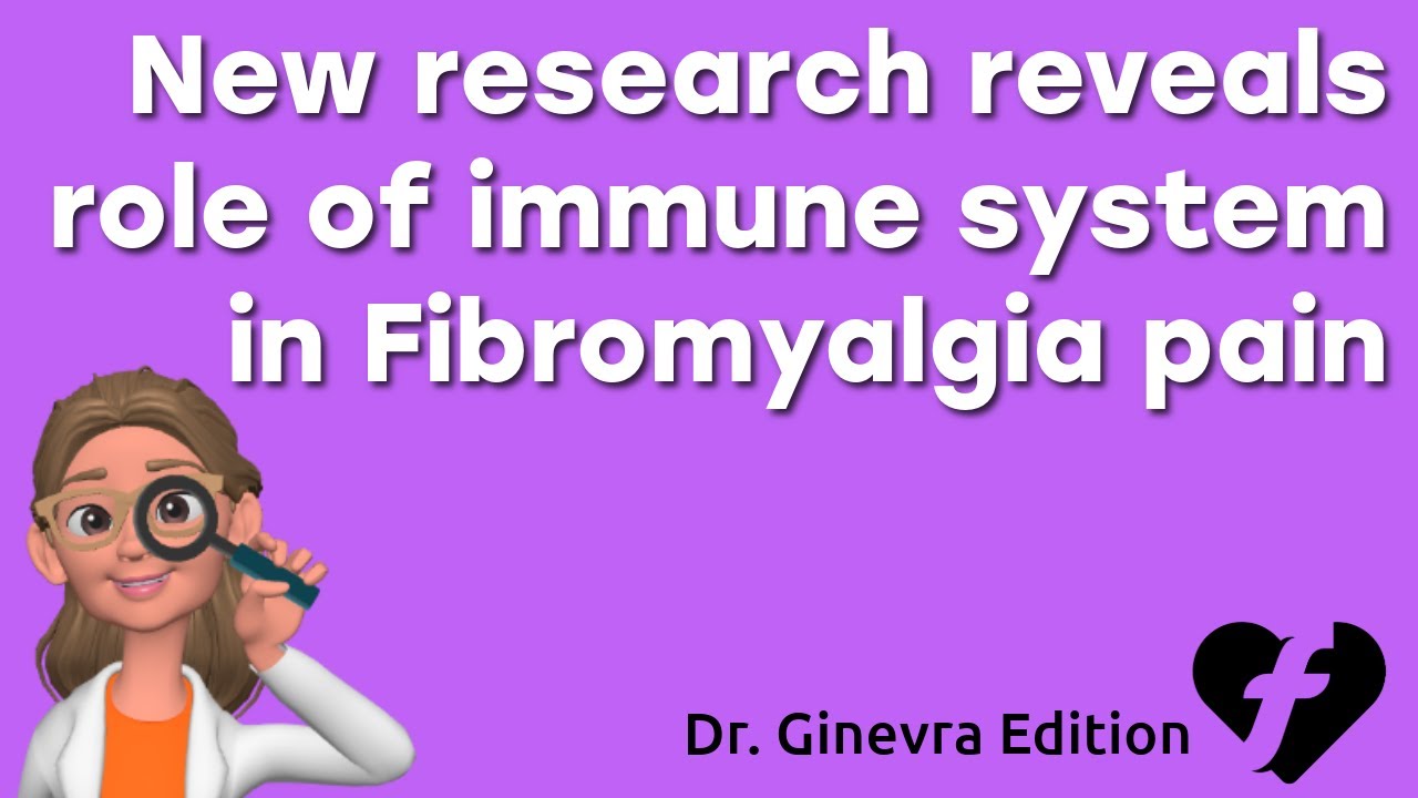 Mouse antibody study shows the immune system contributes to fibromyalgia pain