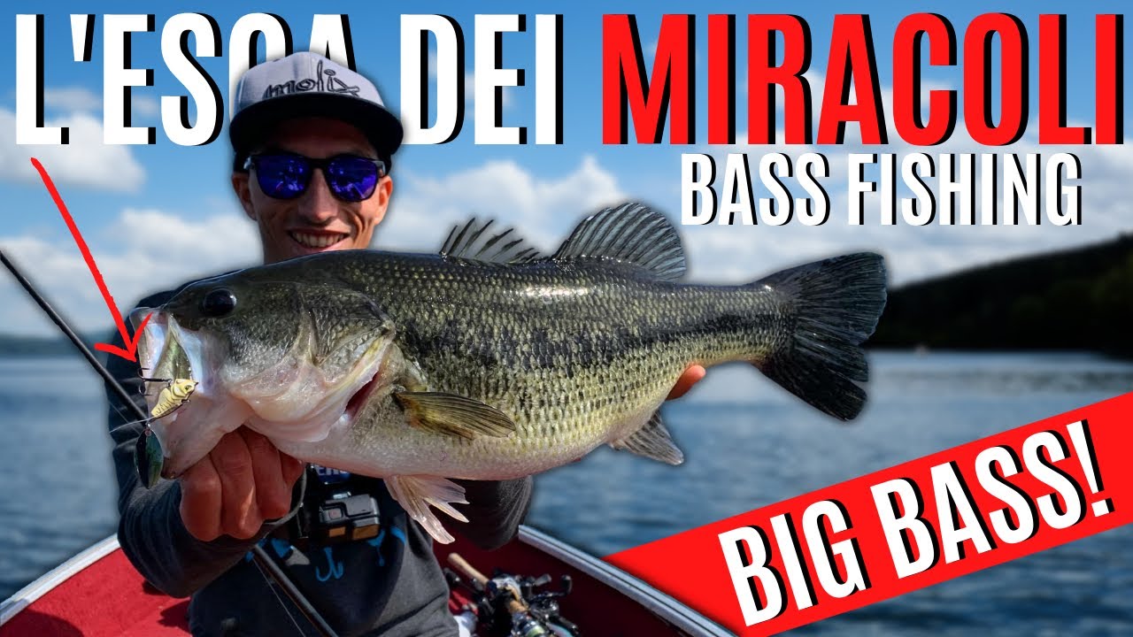 L’ESCA DEI MIRACOLI! - BIG BASS sul Lago di Bracciano (4k)