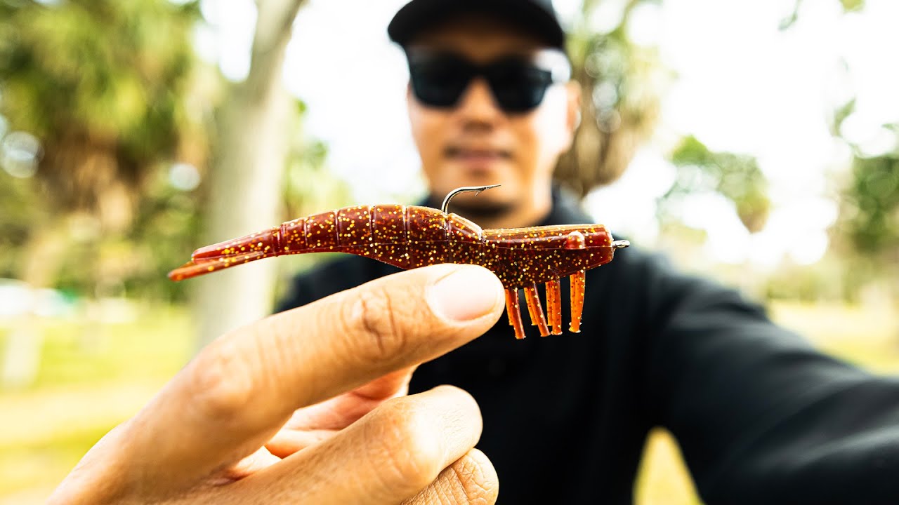 Fishing with the Worst DOA Shrimp Color (Shocking Results)