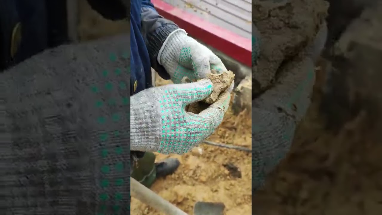 Поиск окаменелостей в песке.