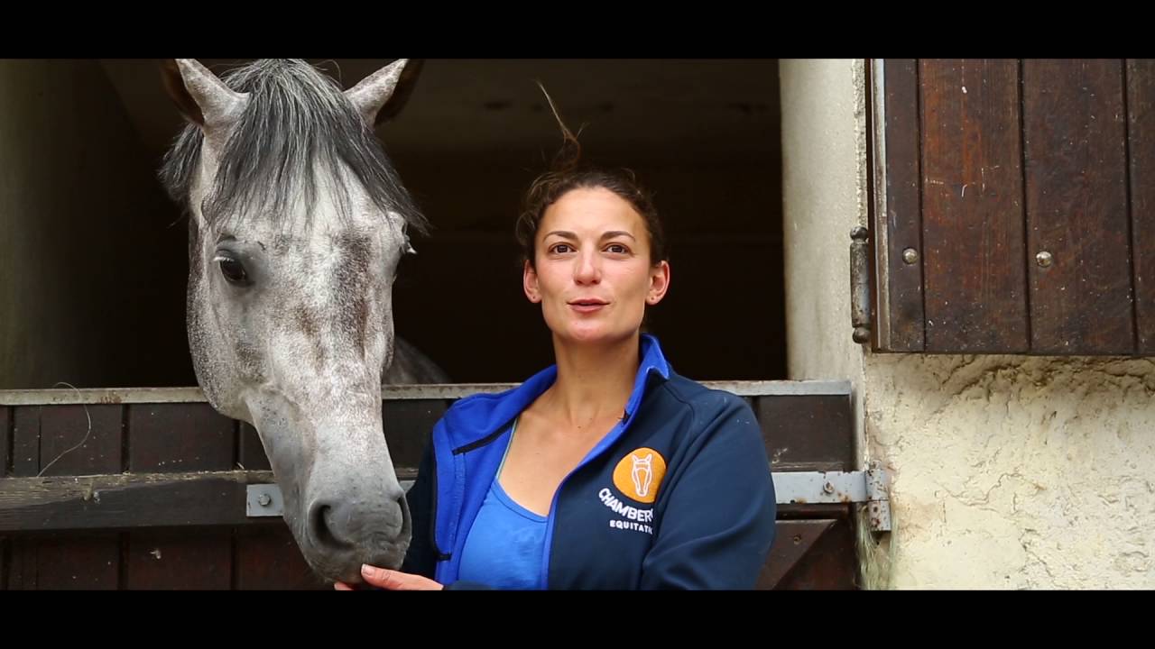Chambergeot Equitation - Ecuries de proprietaire / Pension pour Chevaux / Ecole d'équitation