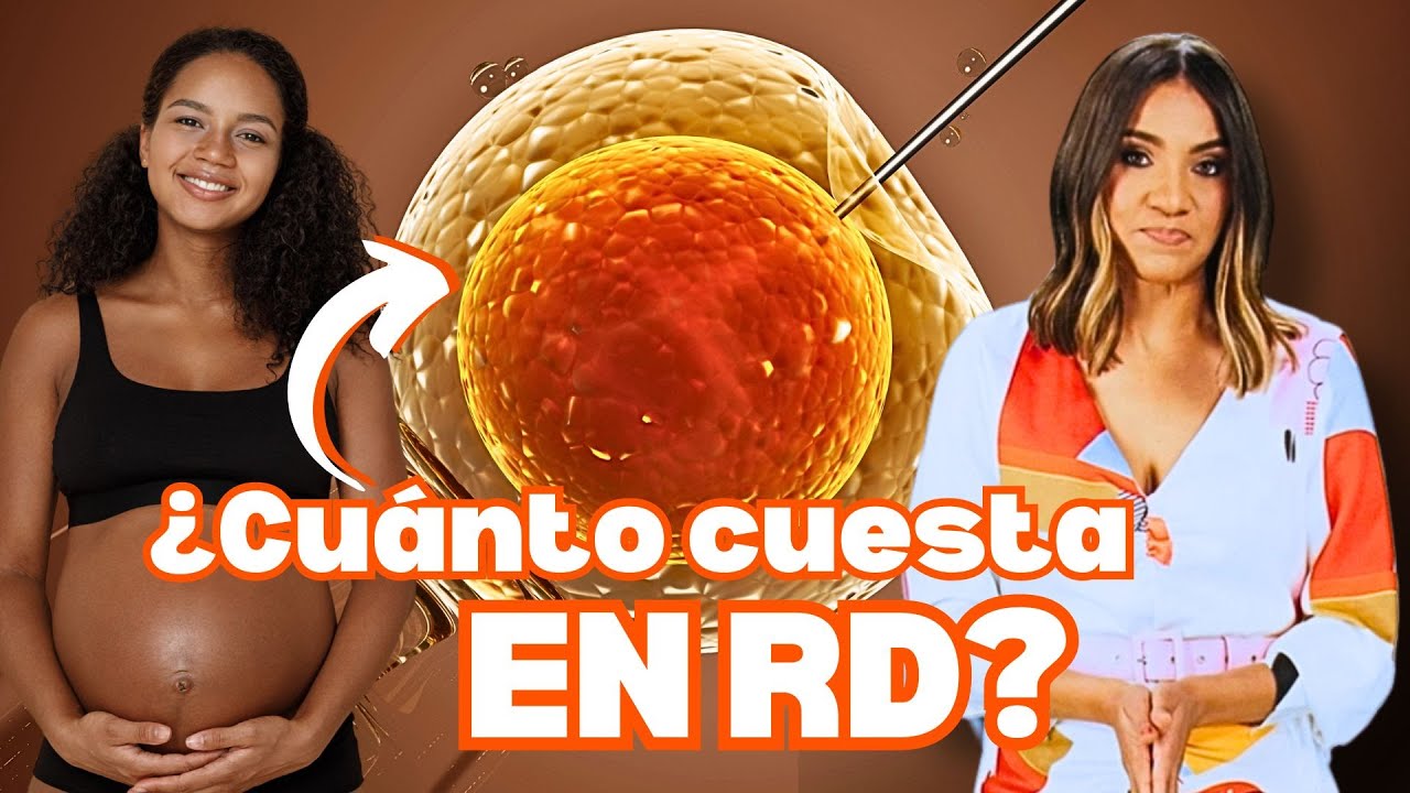 ¿Cómo es la INSEMINACIÓN ARTIFICIAL en RD?: Te lo explico