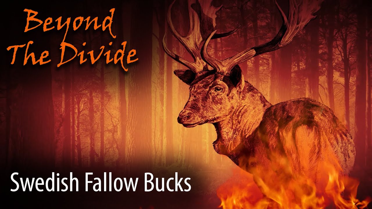 Swedish Fallow Bucks | Beyond The Divide - Series 6 Ep 1