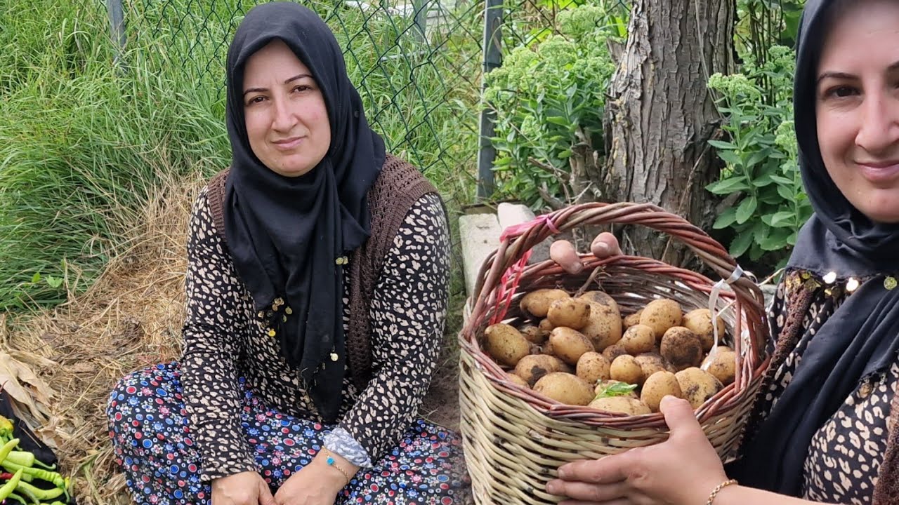 ACI KAYBIMIZ😒SEBZELERIME BI BAKIN TEYZELERI MAŞALLAH 🧿🧿🤲