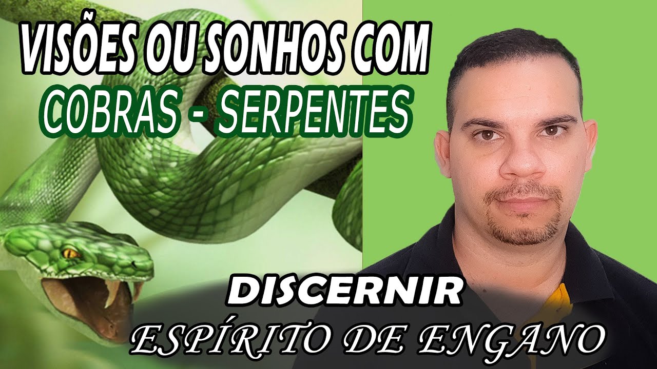 SONHAR COM COBRA O QUE SIGNIFICA? - SONHOS E VISÕES - INTERPRETAÇÃO