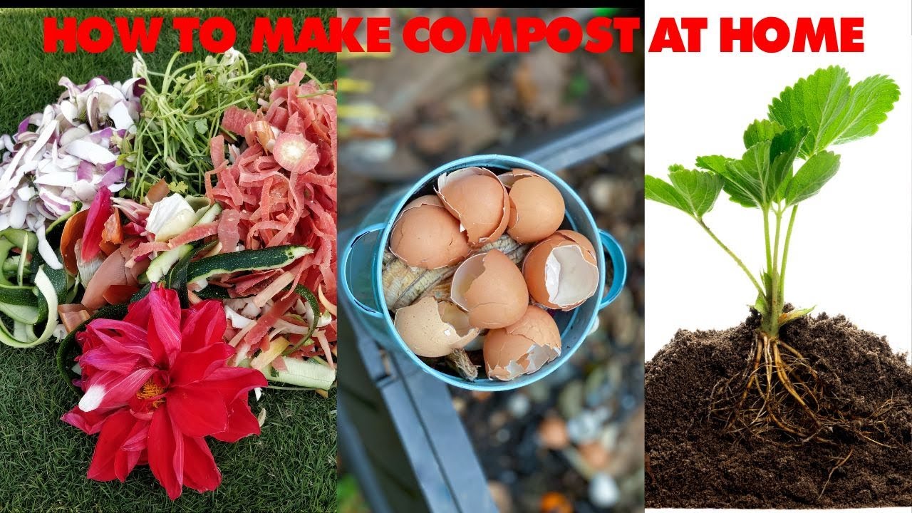 How to make organic compost at home | Organic compost for kitchen gardening