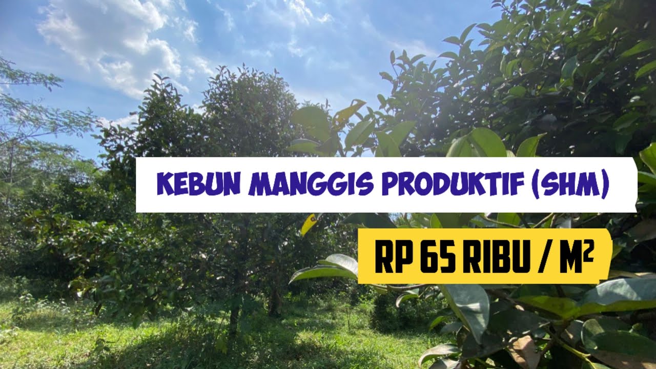 Jual Murah Tanah Kebun Manggis 4022 m2 SHM di Pedesaan Bojong Purwakarta