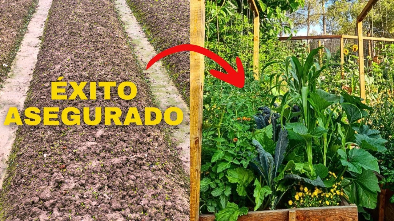 Empezar un HUERTO [consejos &Uacute;TILES]