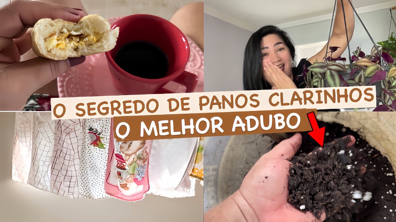 Rotina que eu amo | panos de pratos branquinhos | o melhor adubo que já usei | casa limpa