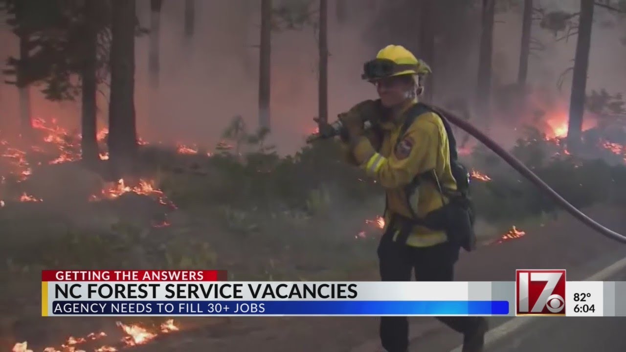 Staffing struggles, high vacancy rates for NC Forest Service as they deal with wildfires