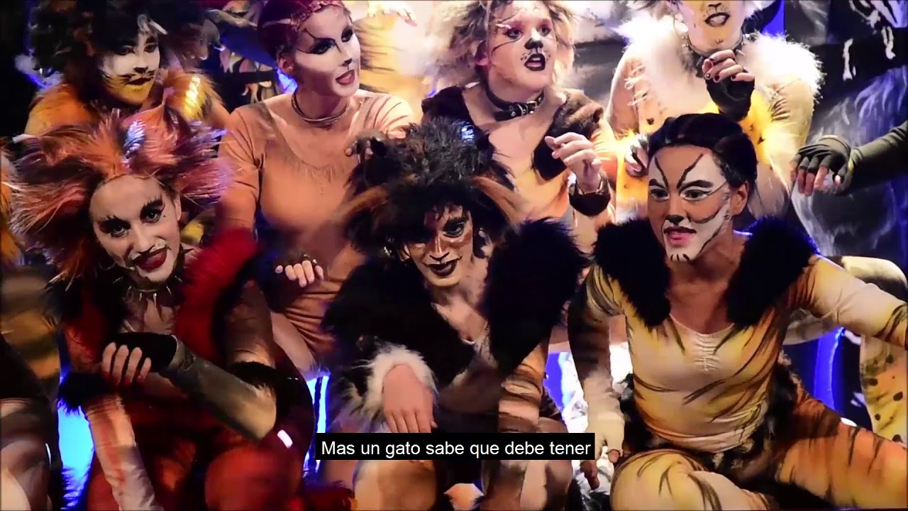 Cats - Escuela de Comedia Musical Valeria Lynch - Bah&iacute;a Blanca