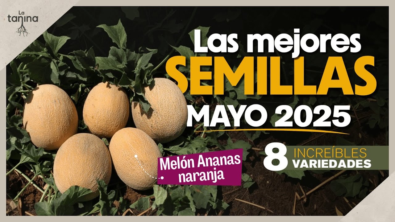 Qué sembrar en MAYO. 🌽#elclubdelasemilla
