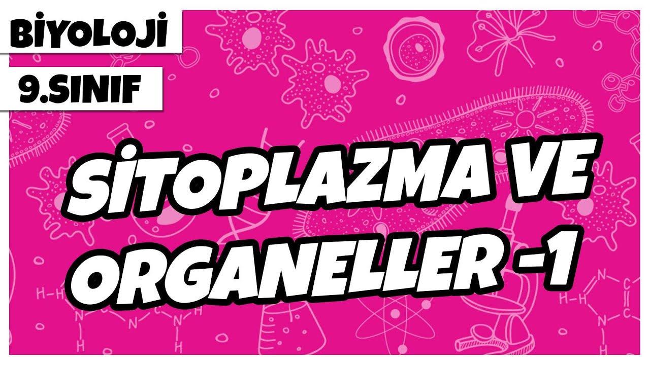 9. Sınıf Biyoloji - Sitoplazma ve Organeller -1