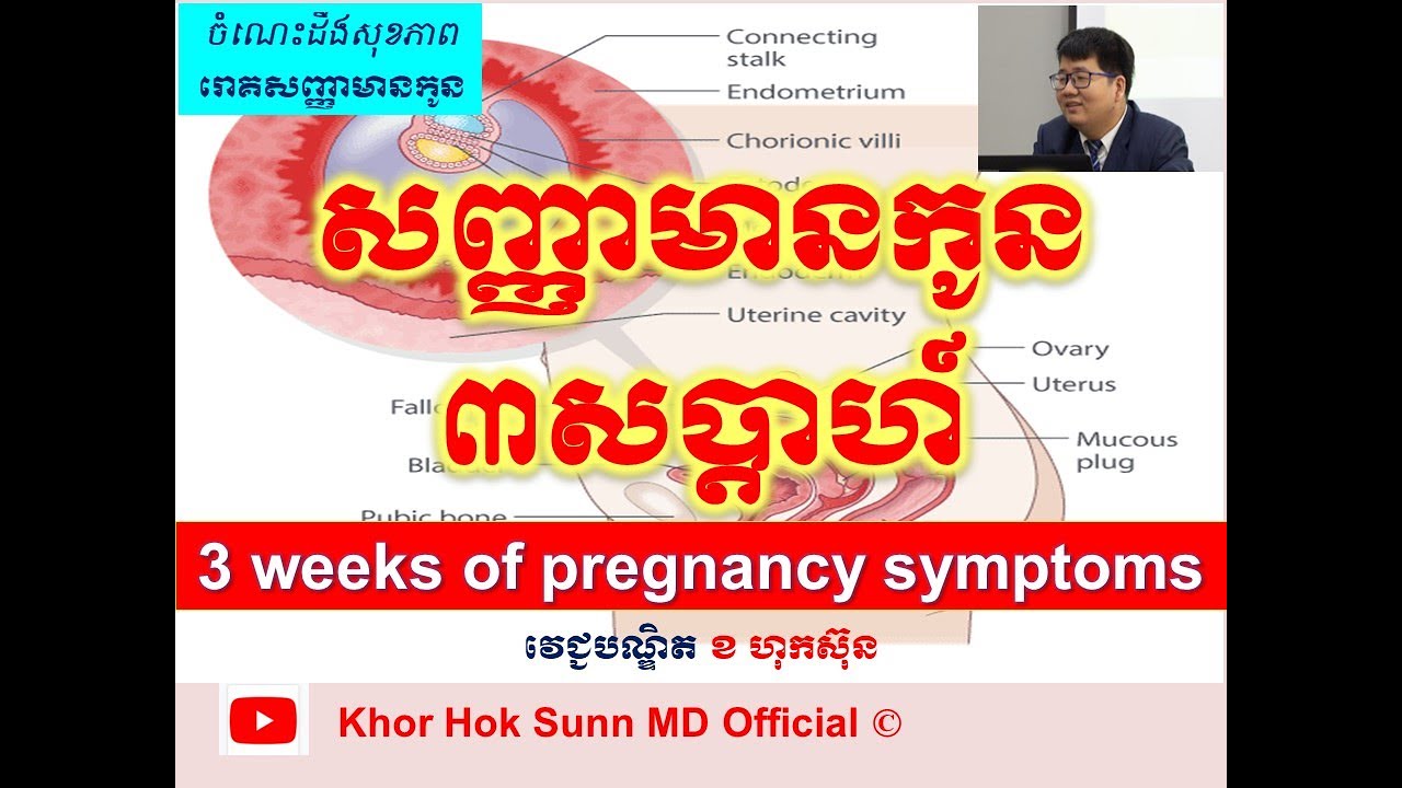 សញ្ញាមានកូន៣សប្តាហ៍ l 3 weeks of pregnancy symptoms l ចំណេះដឹងសុខភាព l Khor Hok Sunn MD Official