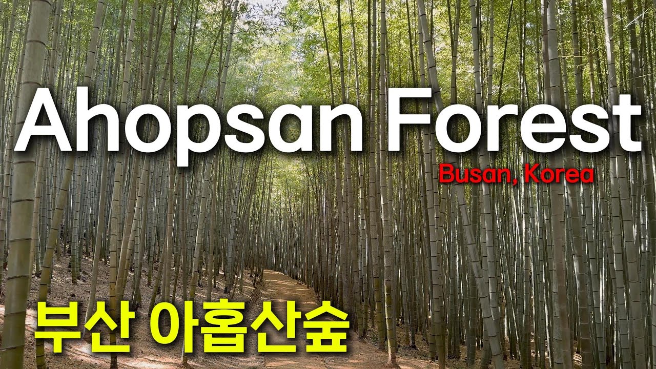 Ahopsan Forest, Busan, Korea [부산 아홉산숲] 4K