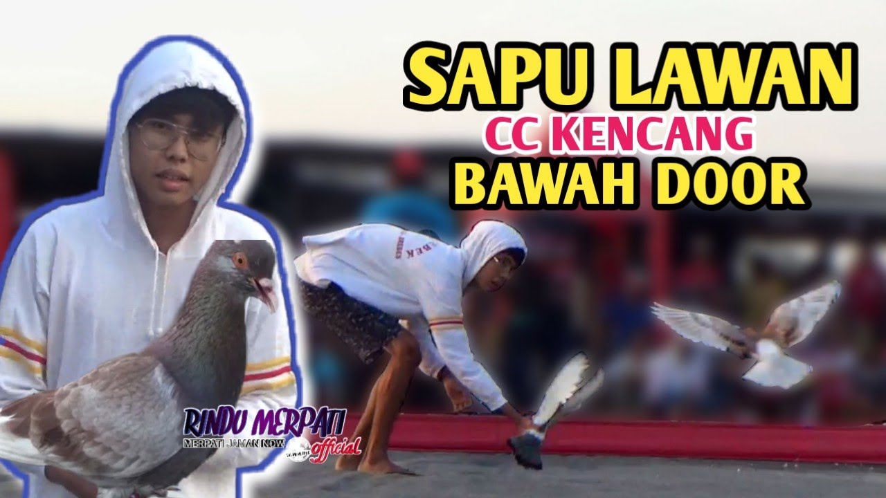 BEST OF THE BEST SAPU LAWAN ; SENGATAN BAWAHNYA GILA DI LAPAK PADEL TEGAL