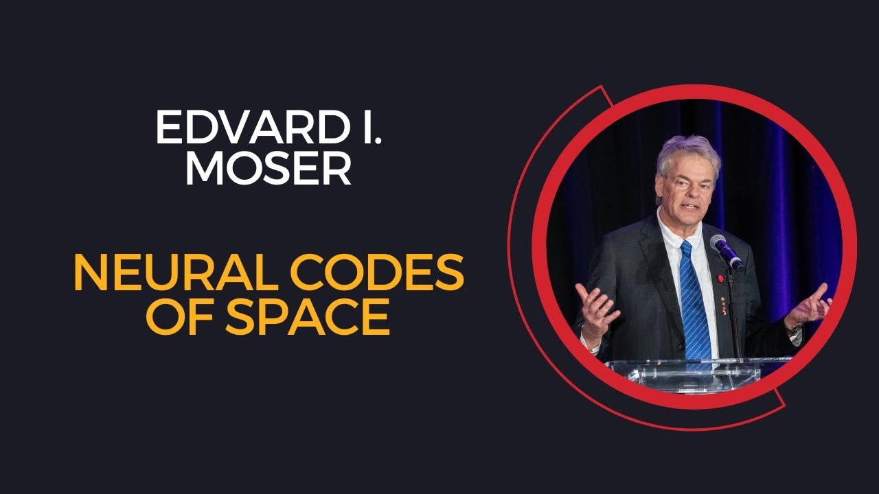NEURAL CODES OF SPACE