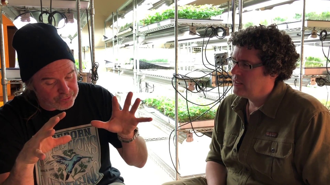 The Kevin Jodrey Sessions #7 - Surviving in Cannabis the Next 20 Years