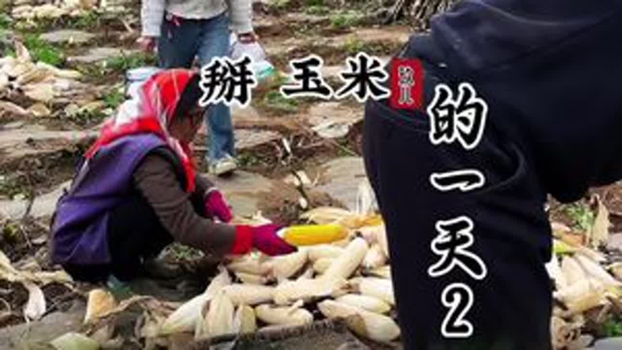 虽然这段时间很苦，但是一家人在一起就是最大的幸福，也是我为之奋斗的目标#我的乡村生活 #普通的饭菜都是家的味道 #丰收的季节