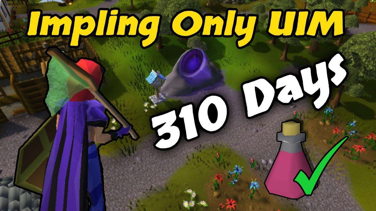 It Took 310 Days For This Upgrade - Impling Only UIM (#30)