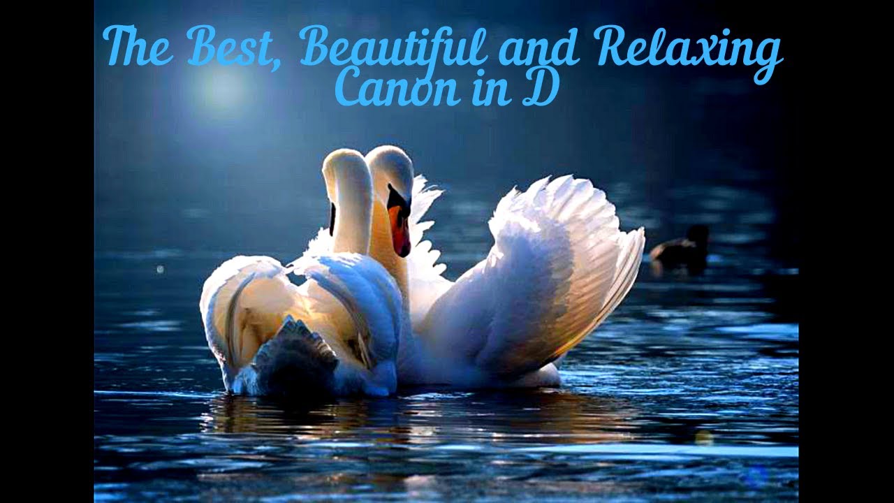 🥰💕 The Most Beautiful Canon in D 🤩❤