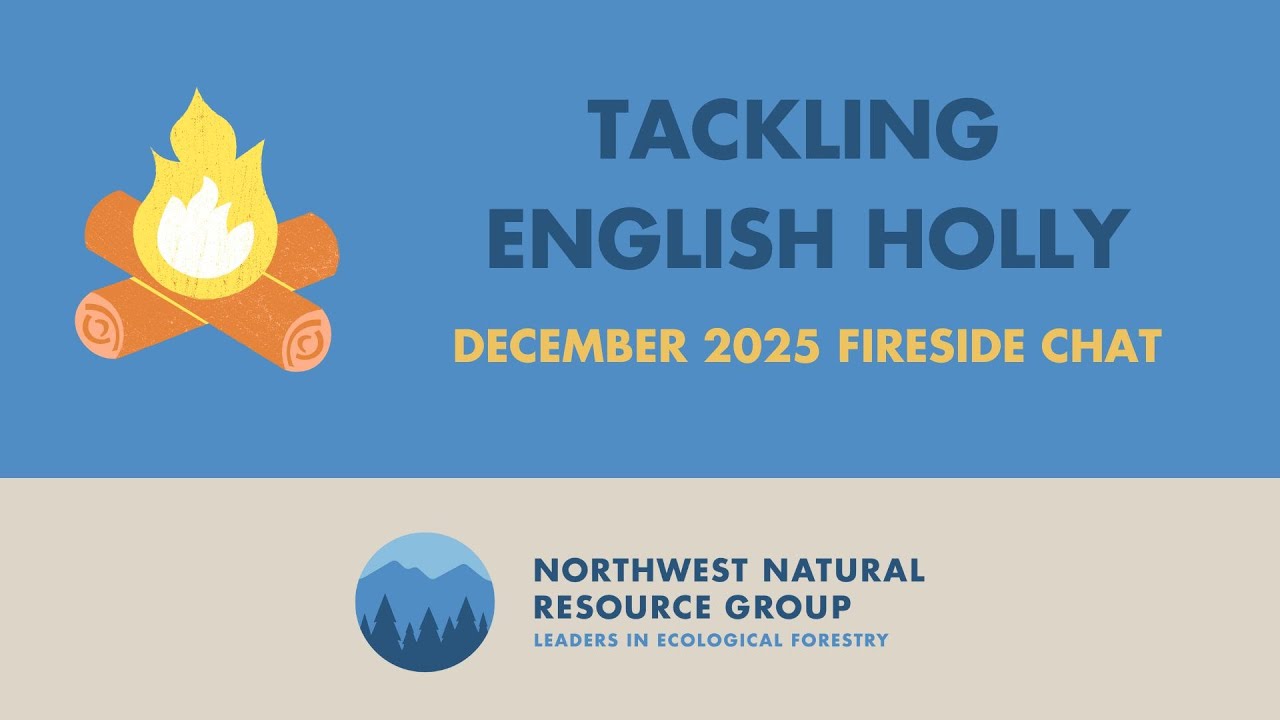 December 2025 Fireside Chat - Tackling English Holly