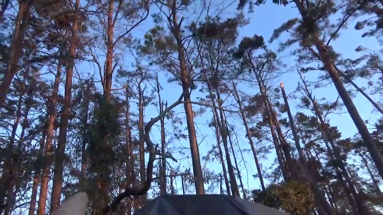Channel Update February 2026 ICE Storm Damage