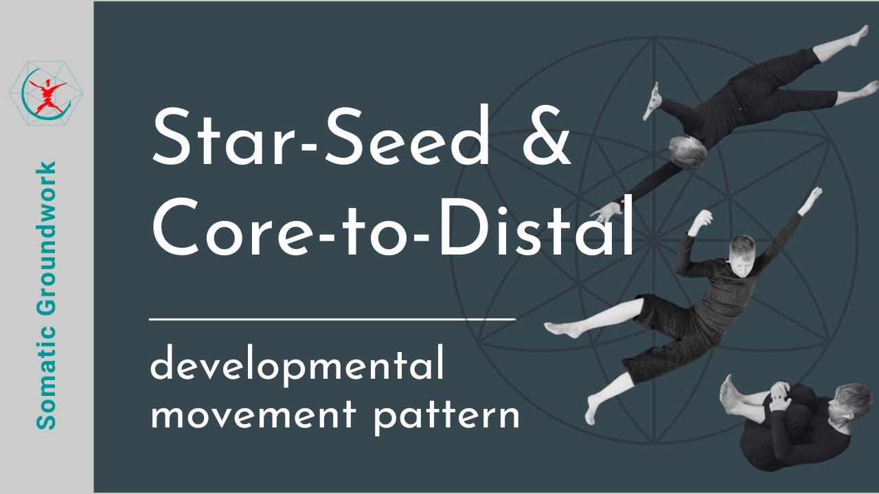 Star-Seed & Core-to-Distal | developmental movement pattern