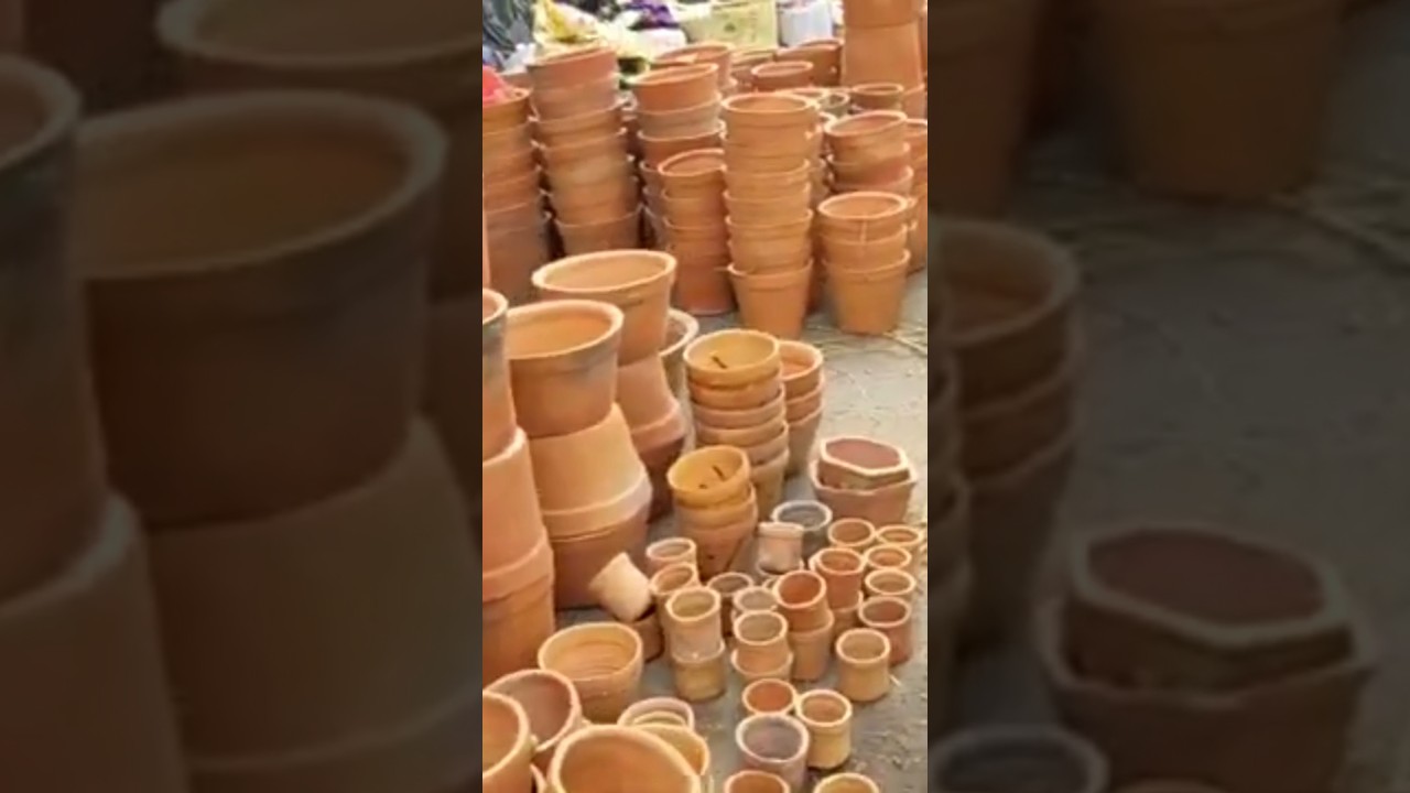 Terracotta Pots In Galiff Street Plant Market | Uv green #nature #flowers #plantmarket #garden