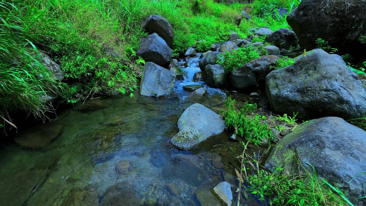 Mountain Stream Sounds, Beautiful Forest Atmosphere and No Birdsong, Nature Sounds for Relaxing