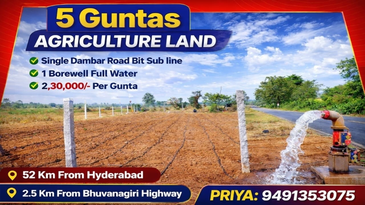 Priya:9491353075||BT Dambar Road BIT|Small BIT|5 Guntas Agrriculture land sale #yt #farming #youtube