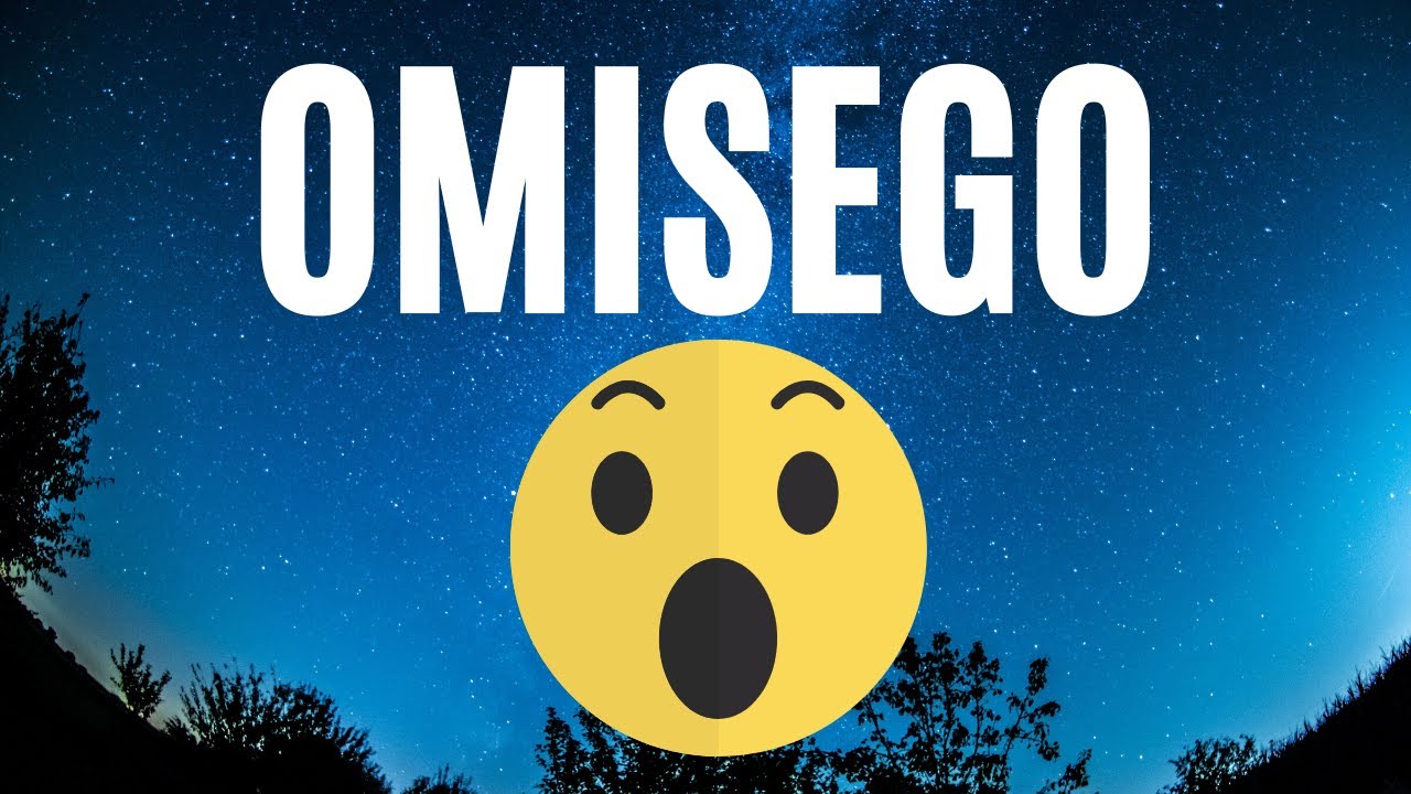 WHAT IS OMISEGO? OMG FUNDAMENTAL ANALYSIS