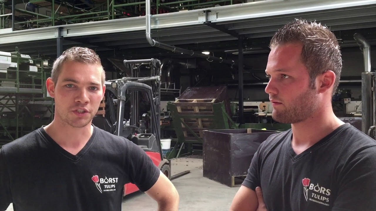 SchoutenBercomex - Firma Borst