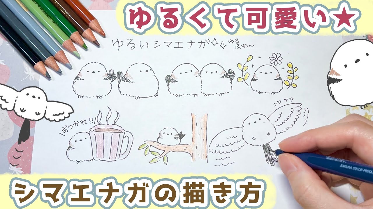 ゆるくて可愛いシマエナガの描き方