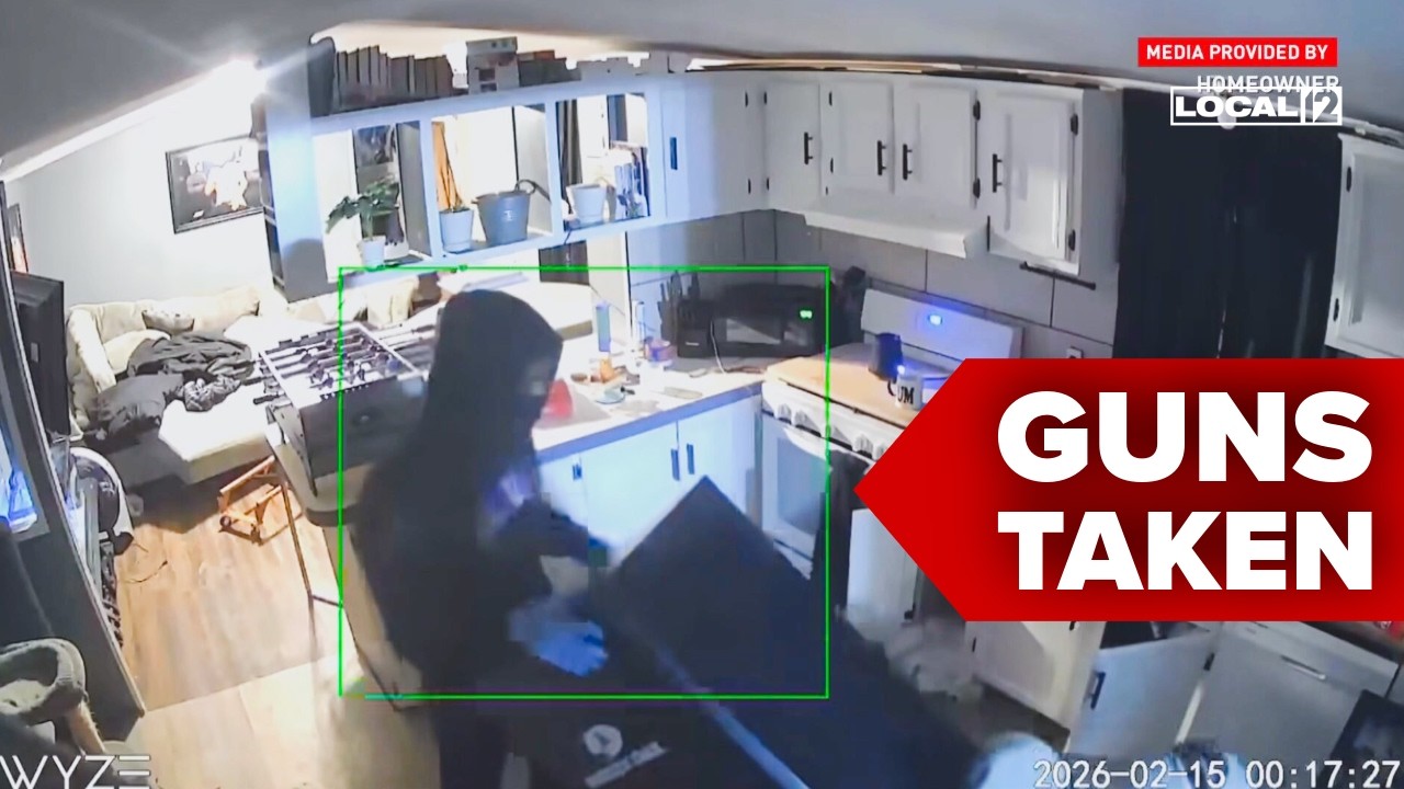 Homeowner seeks help after burglars steal safe with guns from Ohio home