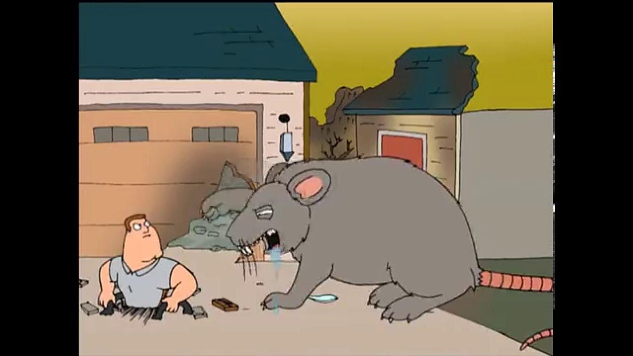 Family Guy - 