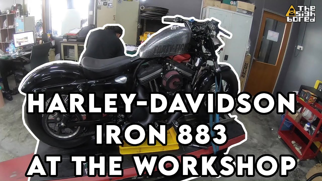 Harley Davidson Iron 883 | Workshop 1 | Full service