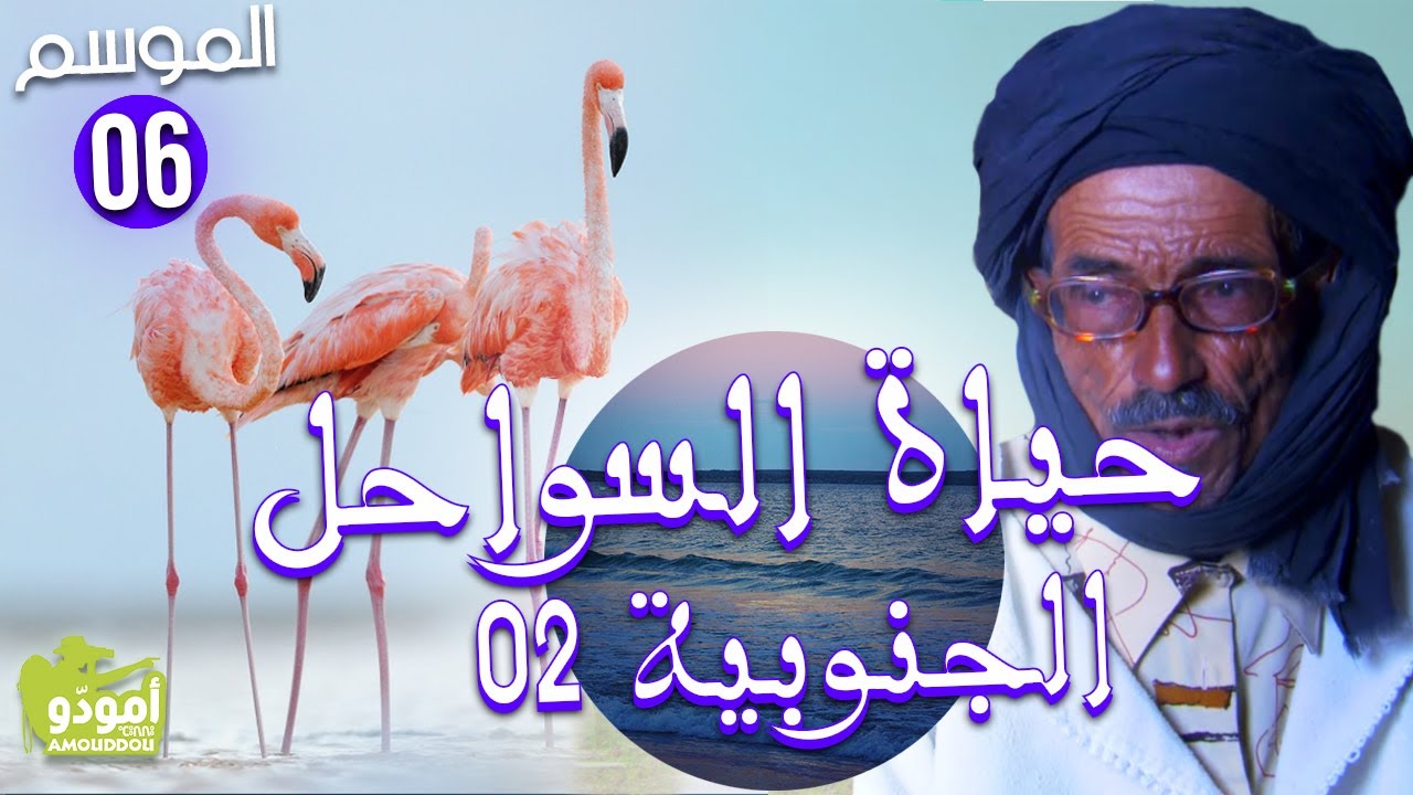 AmouddouTV 098 La vie des côtes sudistes (2e partie)  أمودّو/ حياة السواحل الجنوبية [السفر الثاني]ا