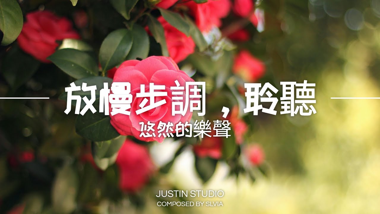 【RELAXING PIANO BGM】放慢步调，聆听悠然的乐声