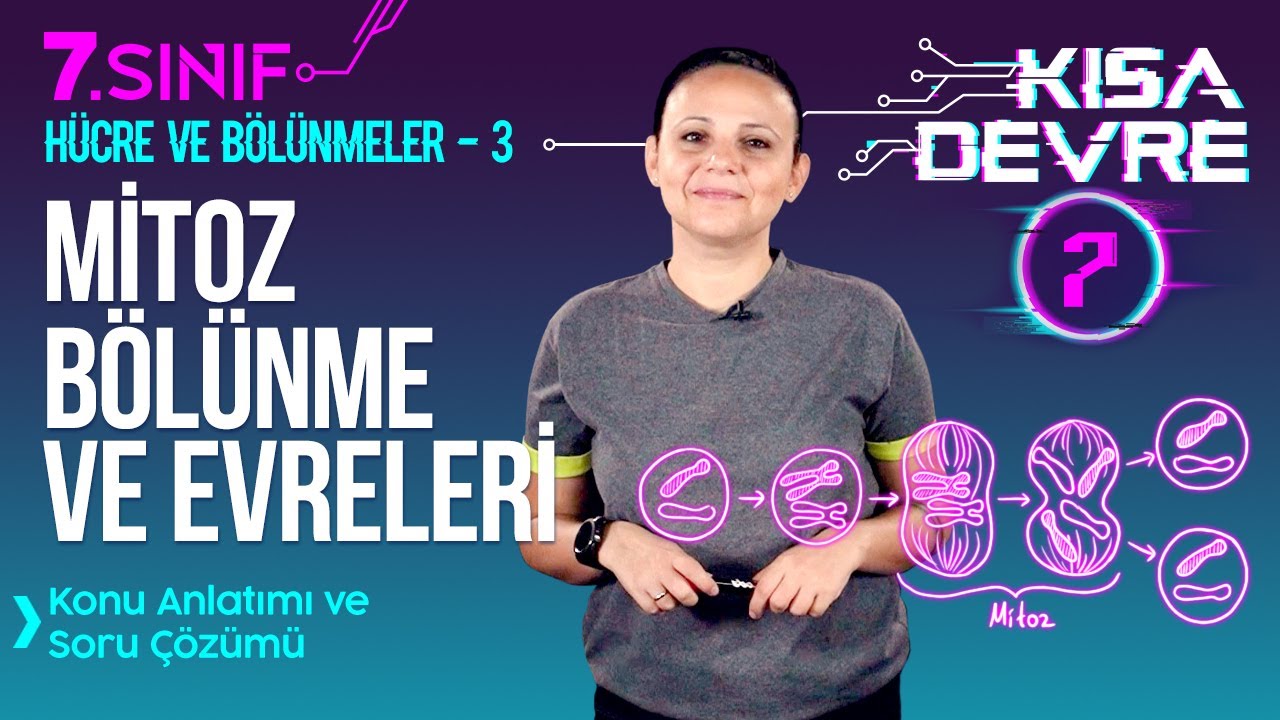 Mitoz Bölünme: Evreleri ve Özellikleri (Animasyonlu Anlatım) | 7. Sınıf Fen | Lightboard ile Ders #7
