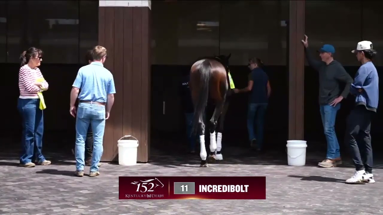 Kentucky Derby Contenders EMERGING MARKET, INCREDIBOLT, and ALBUS are Schooling in the Paddock